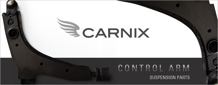 CARNIX Control Arm - New