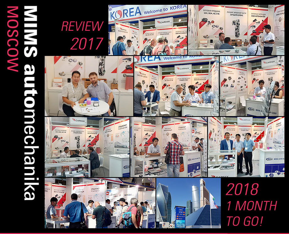 Review of MIMS Automechanika 2017